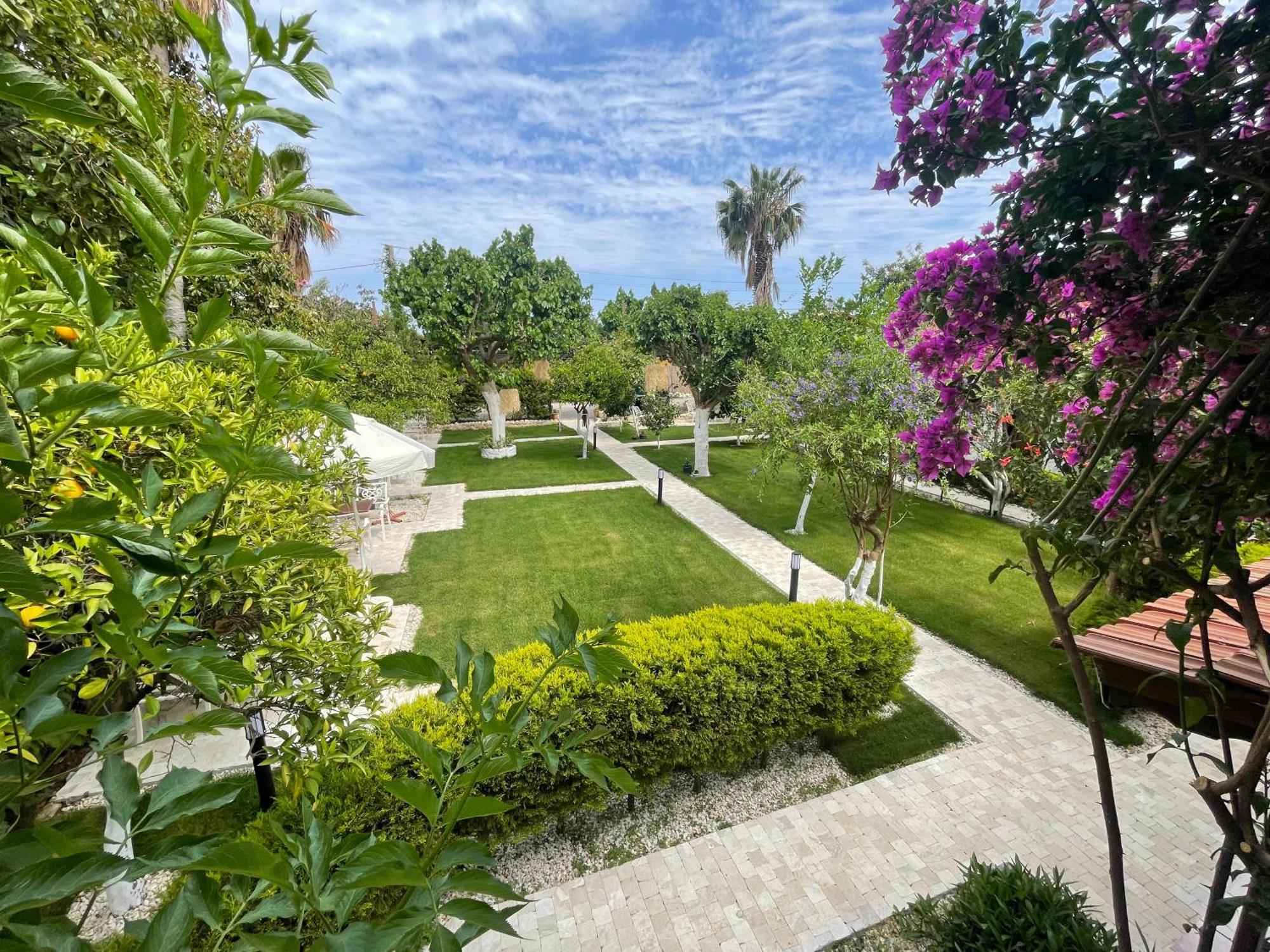 Alican Pension Cirali Exterior photo