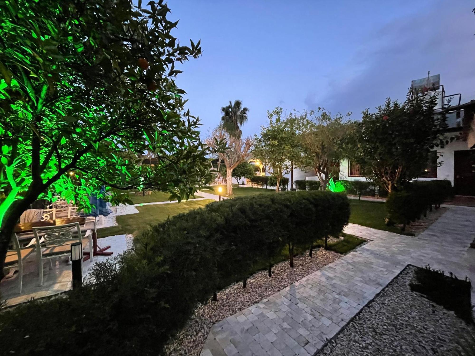 Alican Pension Cirali Exterior photo
