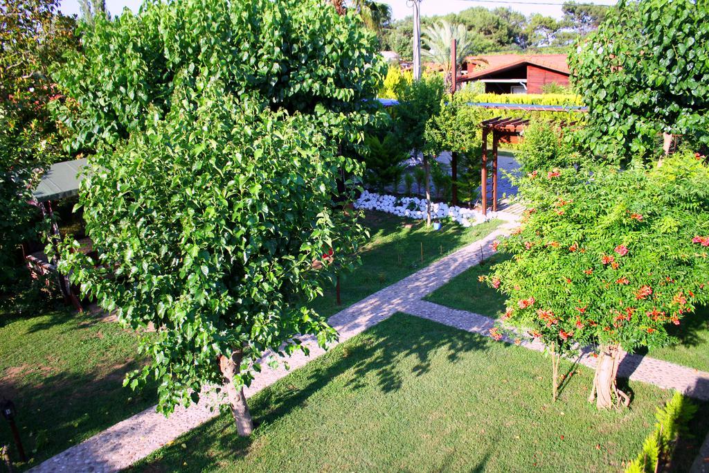 Alican Pension Cirali Exterior photo