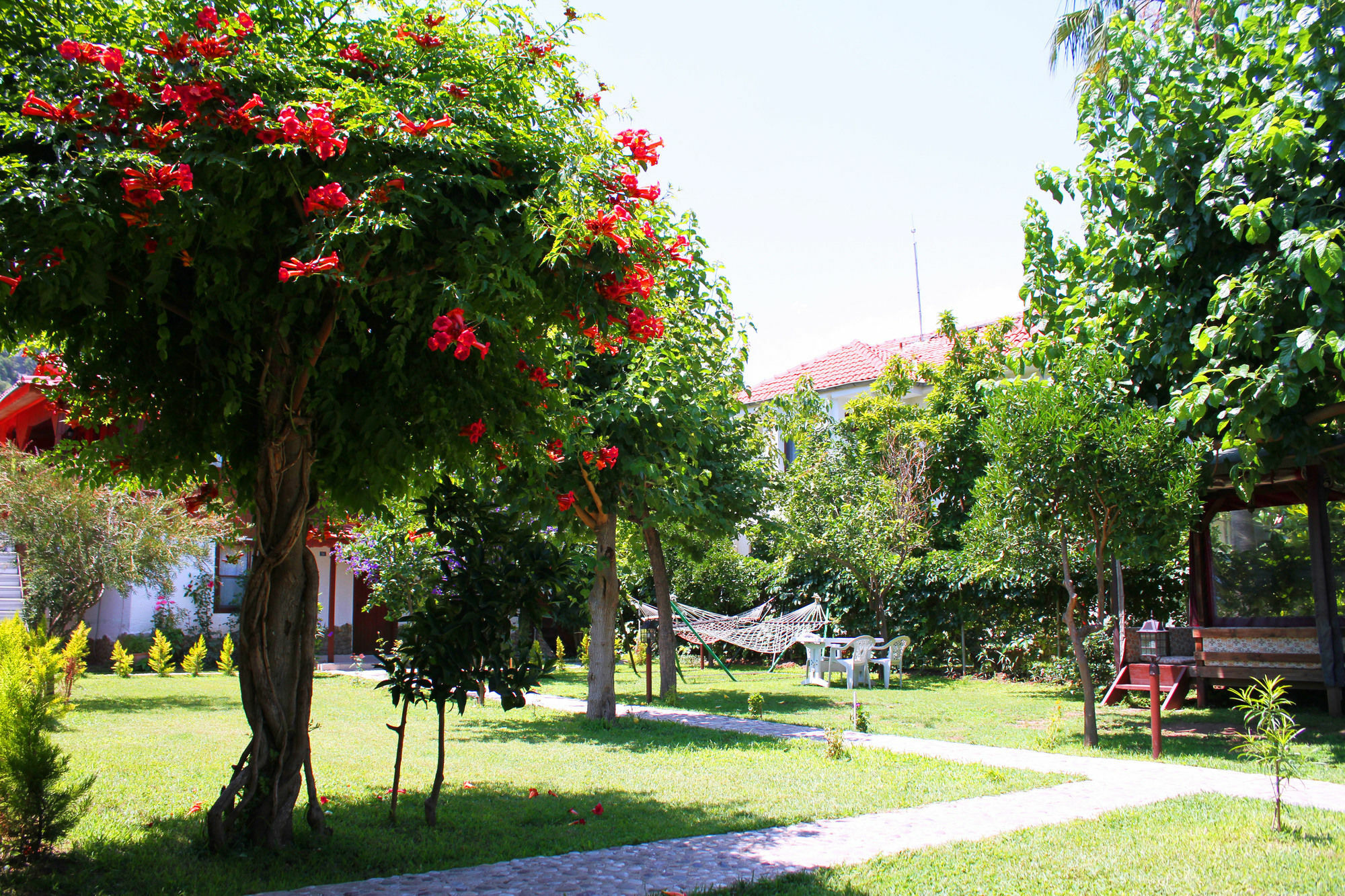 Alican Pension Cirali Exterior photo